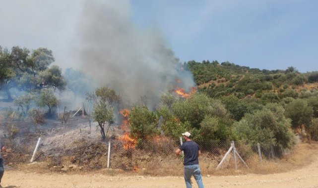İzmir'de orman yangını başladı, havadan müdahale ediliyor