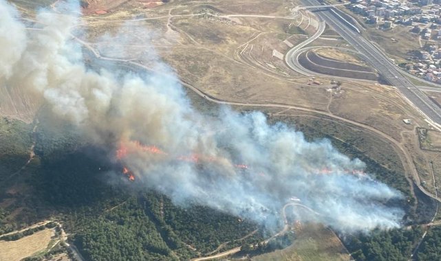 İzmir'de ormanlık alanda çıkan yangına 6 uçakla müdahale