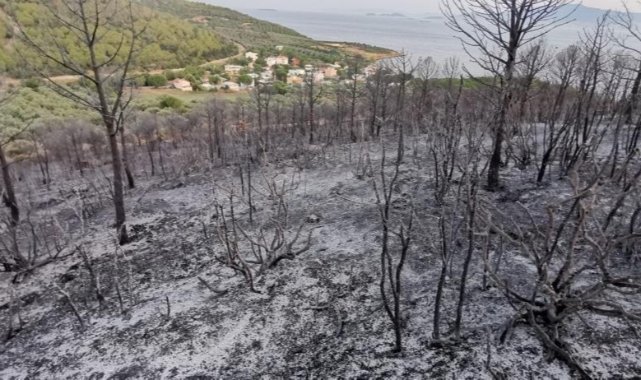 İzmir'deki orman yangınlarında soğutma çalışmaları sürüyor