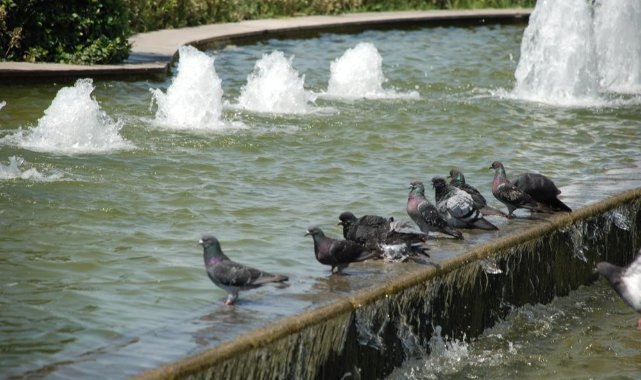 İzmir’e kavurucu sıcaklar geliyor