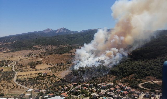 İzmir Güzelbahçe’de orman yangını