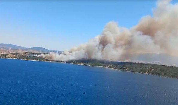 İzmir'in Aliağa ve Menderes ilçelerinde orman yangını