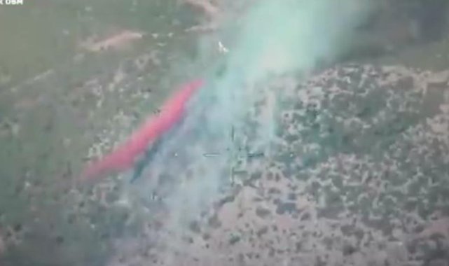 İzmir ve Manisa’da 9 orman yangını söndürüldü