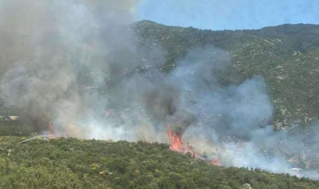 Kaş’ta orman yangını