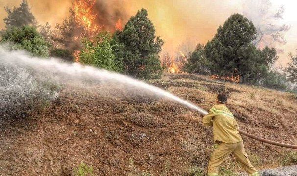 Kütahya'da 9 saat süren yangında 180 hektarlık alan zarar gördü