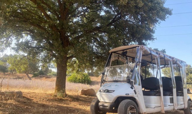 Olivelo Yaşayan Park’ta safari turları başlıyor