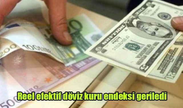 Reel efektif döviz kuru endeksi geriledi