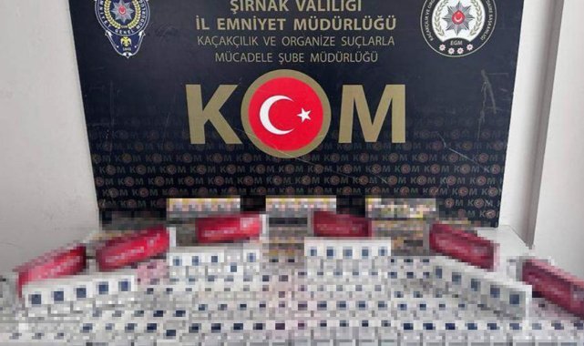 Şırnak’ta asayiş ve kaçakçılık operasyonu