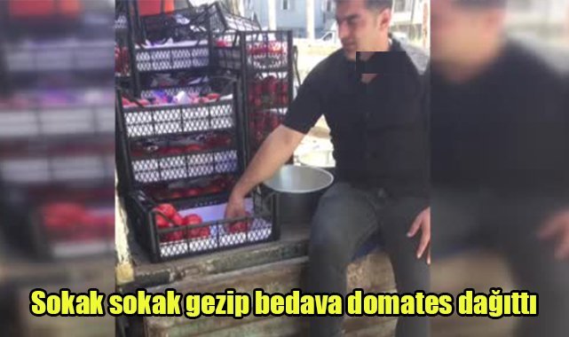Sokak sokak gezip bedava domates dağıttı