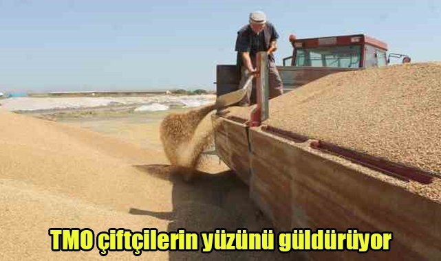TMO çiftçilerin yüzünü güldürüyor