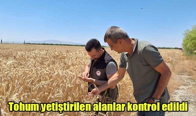 Tohum yetiştirilen alanlar kontrol edildi