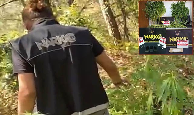 Zehir tarlasına polis baskını: İzmir polisi zehir tacirlerini kıskıvrak yakaladı