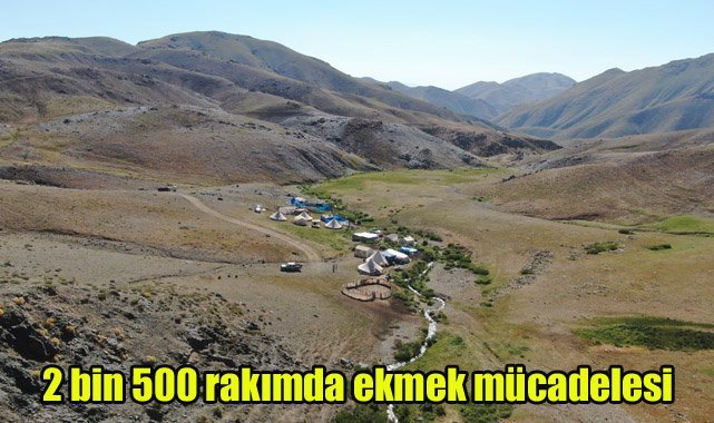 2 bin 500 rakımda ekmek mücadelesi