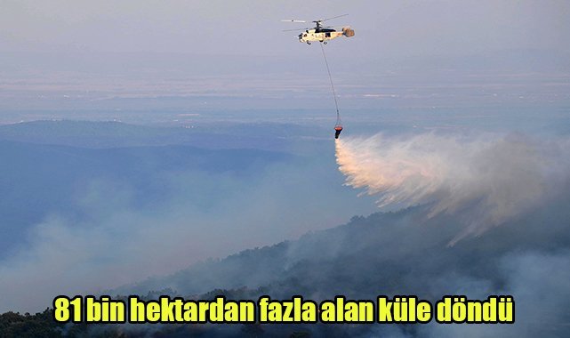 81 bin hektardan fazla alan küle döndü