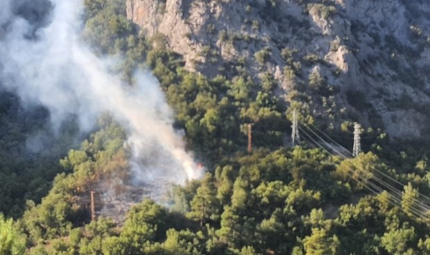 Adana Feke'de orman yangını