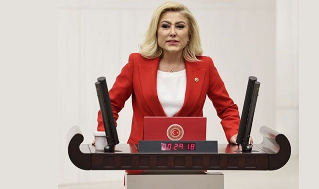 AK Parti’li Bursalı’dan CHP’li Polat’a seviye ayarı