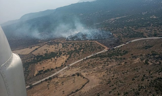 Aliağa’da orman yangını
