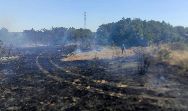 Biga’da ormanlık alanda çıkan yangın kontrol altına alındı