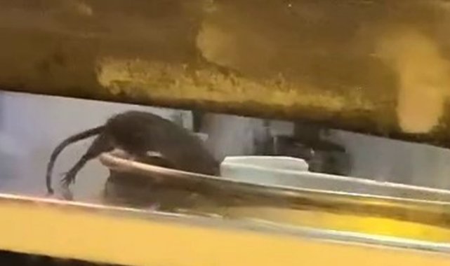 Börekçide mide bulandıran görüntü