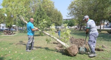Bornova’da park yenileme hamlesi