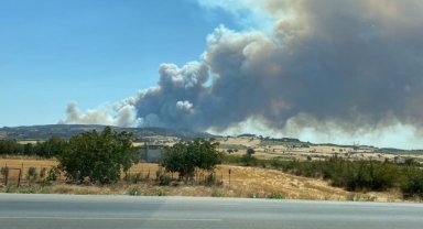 Çanakkale'de orman yangını