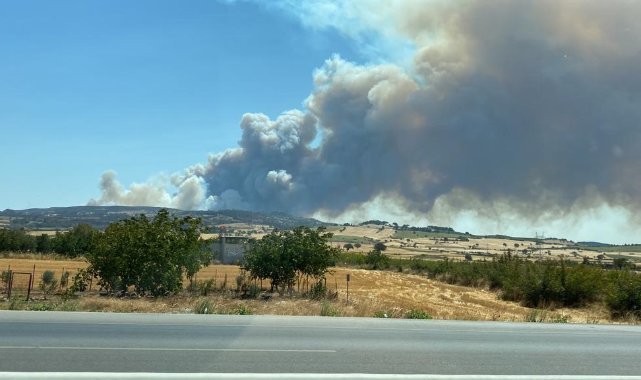 Çanakkale'de orman yangını