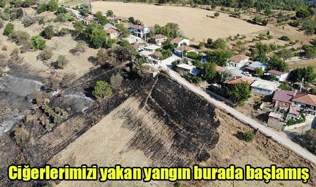 Ciğerlerimizi yakan yangın burada başlamış