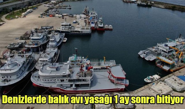 Denizlerde balık avı yasağı 1 ay sonra bitiyor