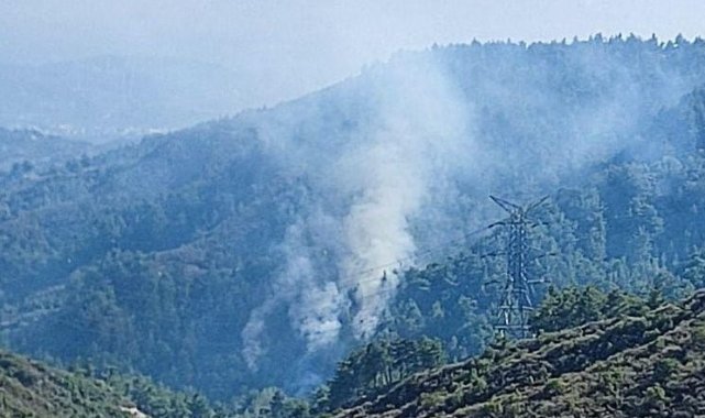 Hatay’da orman yangını