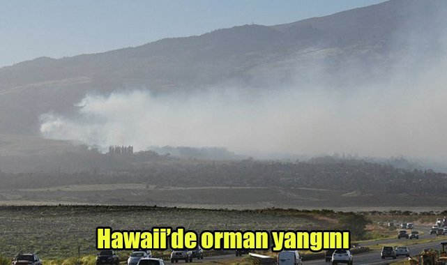 Hawaii’de orman yangını