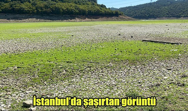 İstanbul’da şaşırtan görüntü