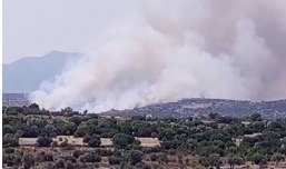 İzmir'de makilik alanda yangın: Havadan ve karadan müdahale ediliyor.