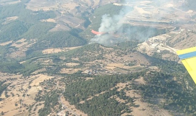 İzmir'deki orman yangını kontrol altına alındı