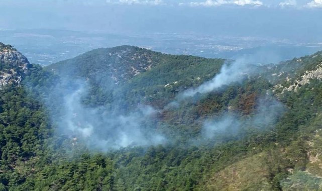 İzmir'deki orman yangını kontrol altında