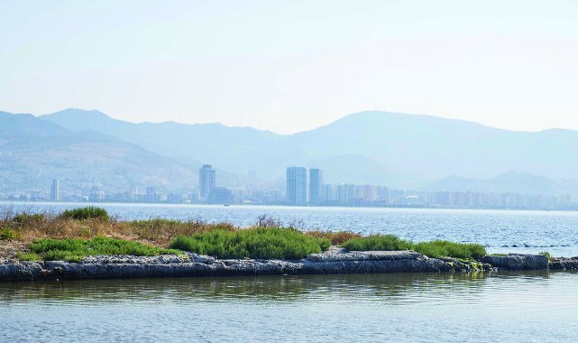 İzmir Körfezi’nde biyolojik çeşitlilik izleme çalışmaları başlıyor