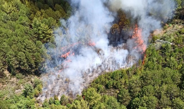 Muğla’da orman yangını