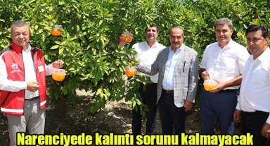 Narenciyede kalıntı sorunu kalmayacak
