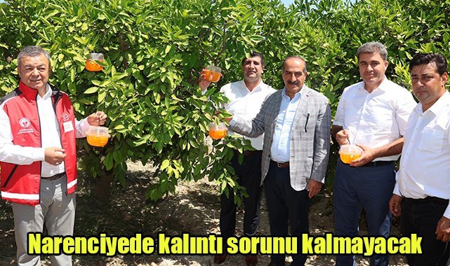 Narenciyede kalıntı sorunu kalmayacak
