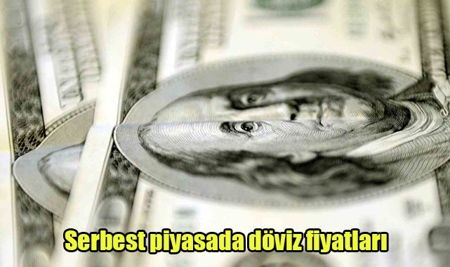 Serbest piyasada döviz fiyatları