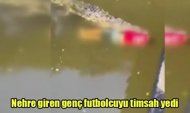 Serinlemek için nehre giren futbolcuyu timsah yedi