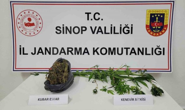 Sinop’ta uyuşturucu operasyonu