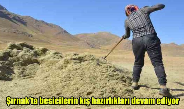 Şırnak'ta besicilerin kış hazırlıkları devam ediyor