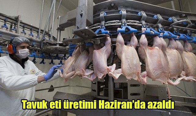 Tavuk eti üretimi Haziran’da azaldı