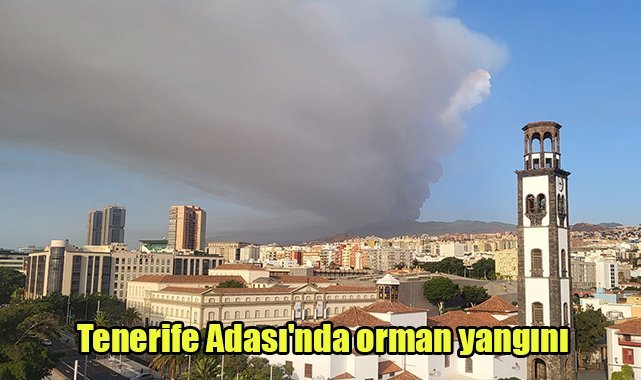 Tenerife Adası'nda orman yangını