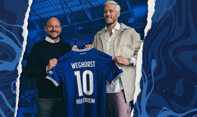 Wout Weghorst, Hoffenheim’da
