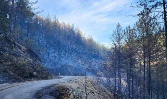 Alanya'da çıkan orman yangını devam ediyor