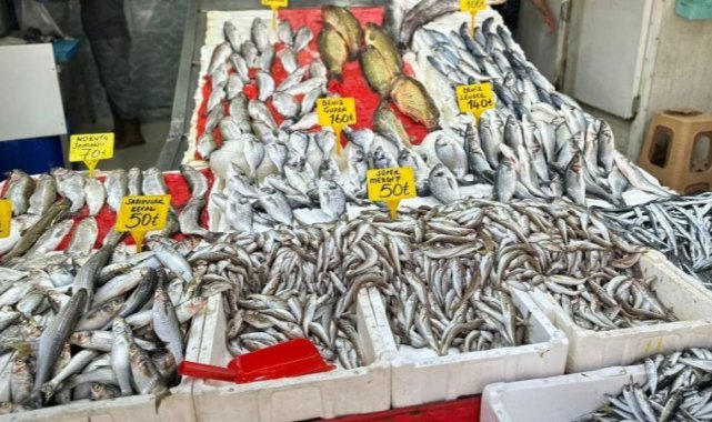 Av yasağı kalktı: Tezgahlar dolup taştı