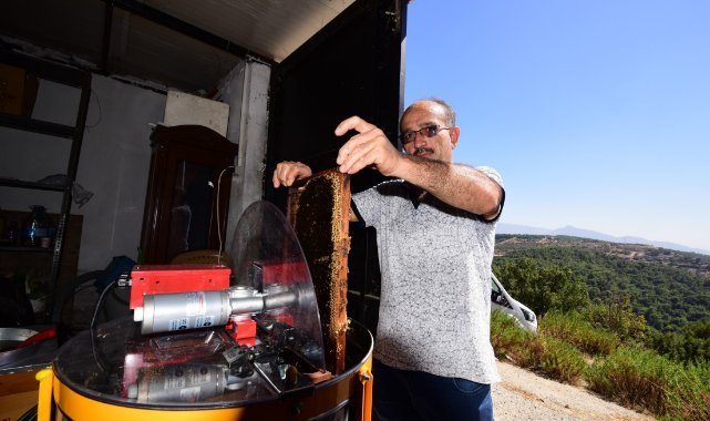 Bornovalı arıcılarda hasat mutluluğu
