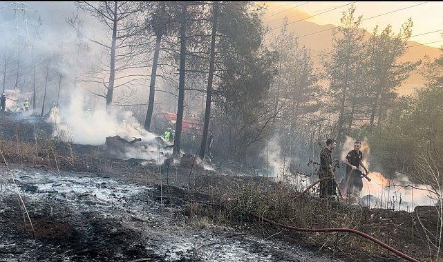 Bursa'da Feci Ölüm
