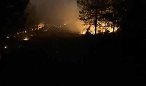 İzmir'de ormanlık alanda yangın